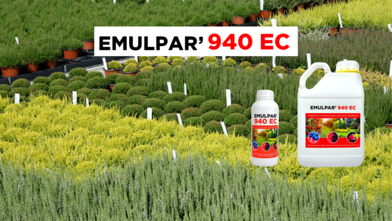         Emulpar 940 EC w szkółkach roślin ozdobnych  wczesną wiosną