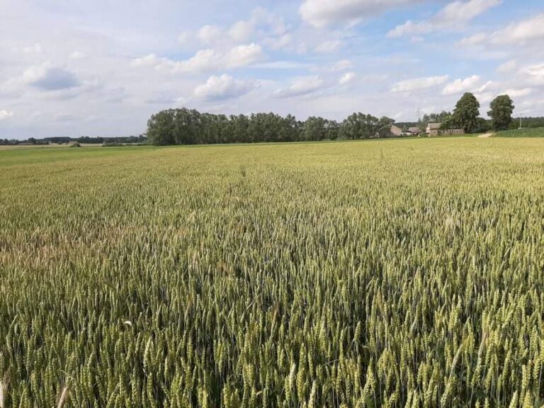 Integrowana produkcja roślin – terminy szkoleń
