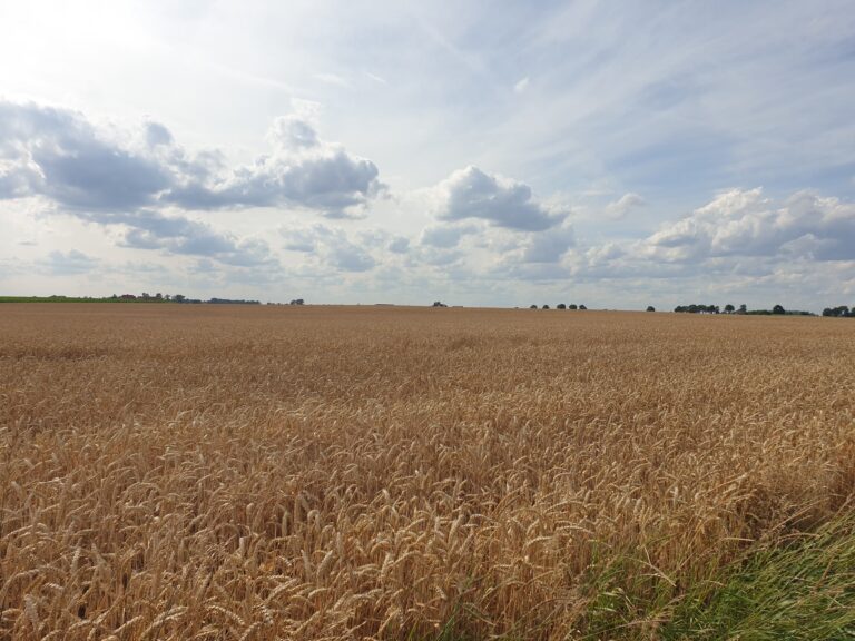 12-13.08.2023                                       Szkolenie  z Integrowanej Produkcji